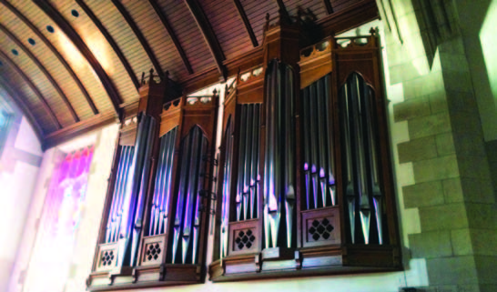 Organ 7